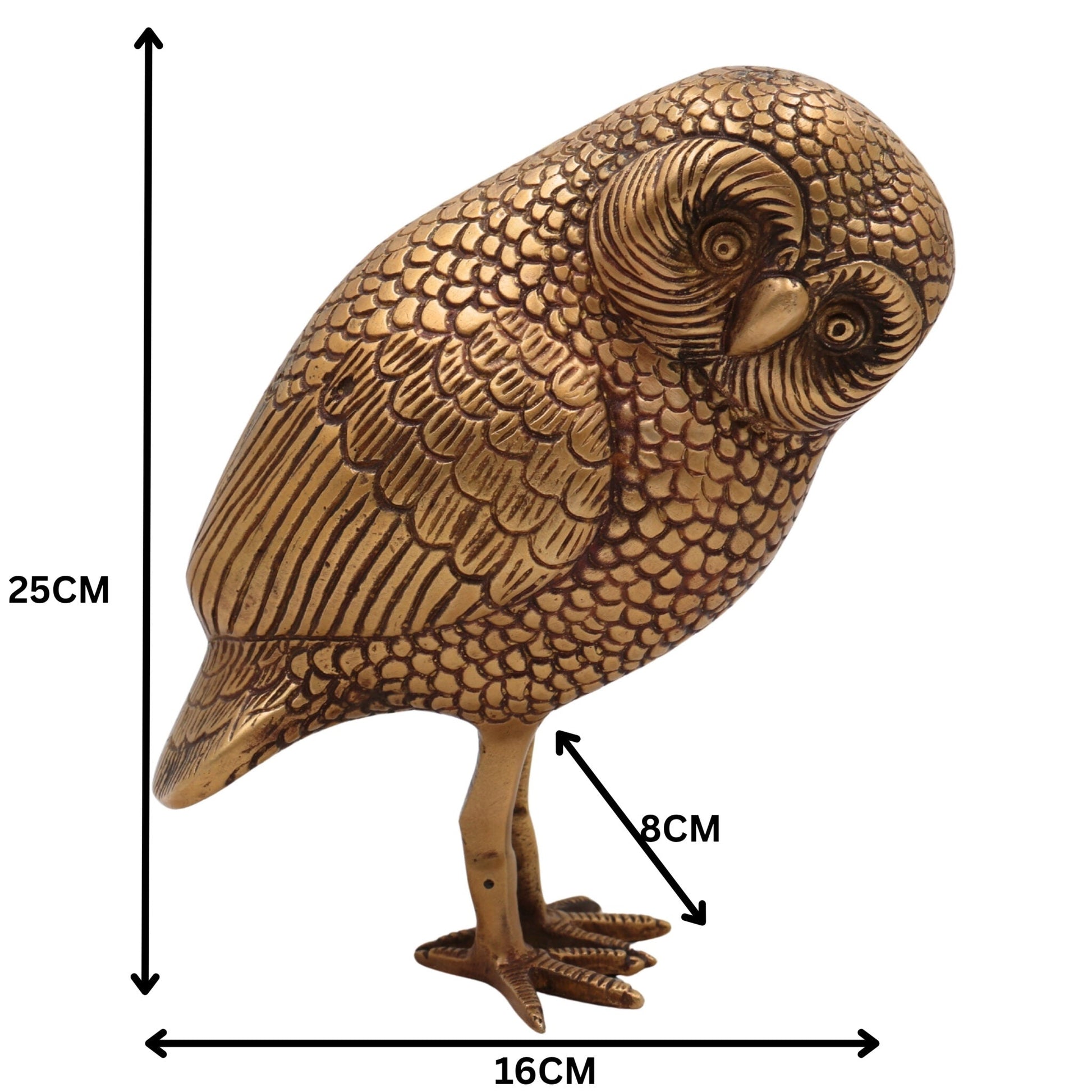 Brass Owl Idol Ullu Murti for Home Decor, Vastu, Pooja | Handcrafted Peetal Uluka Sculpture by Bhunes, Gold, 10 Inch