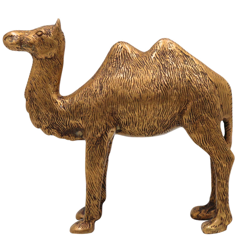 Brass Camel Idol, Indian Desert Camel Sculpture, Rajasthani Pushkar Pital Figurine, Dromedary Brass Statue, Handcrafted Thar Camel Showpiece, Gold, 7 Inch, 1 Piece