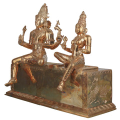 Handcrafted Bronze Shiva Parvati Idol Umamaheshwara Gauri Shankar Shiv Shakti Vigraham Chola Art South Indian Temple Sculpture, Gold, 16.5 Inch, 1 Piece