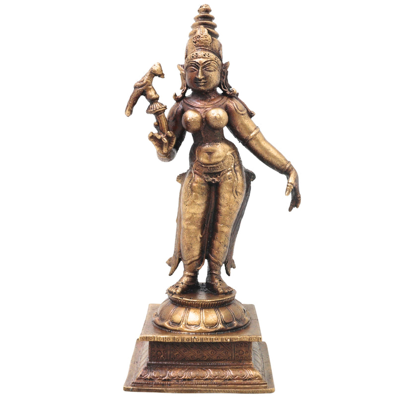 Brass Meenakshi Amman Idol Handcrafted Traditional Chola Style Murti for Pooja Home Decor & Spiritual Gifting, Gold, 5.5 Inch, 1 Piece