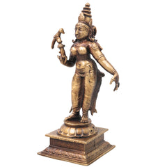 Brass Meenakshi Amman Idol Handcrafted Traditional Chola Style Murti for Pooja Home Decor & Spiritual Gifting, Gold, 5.5 Inch, 1 Piece