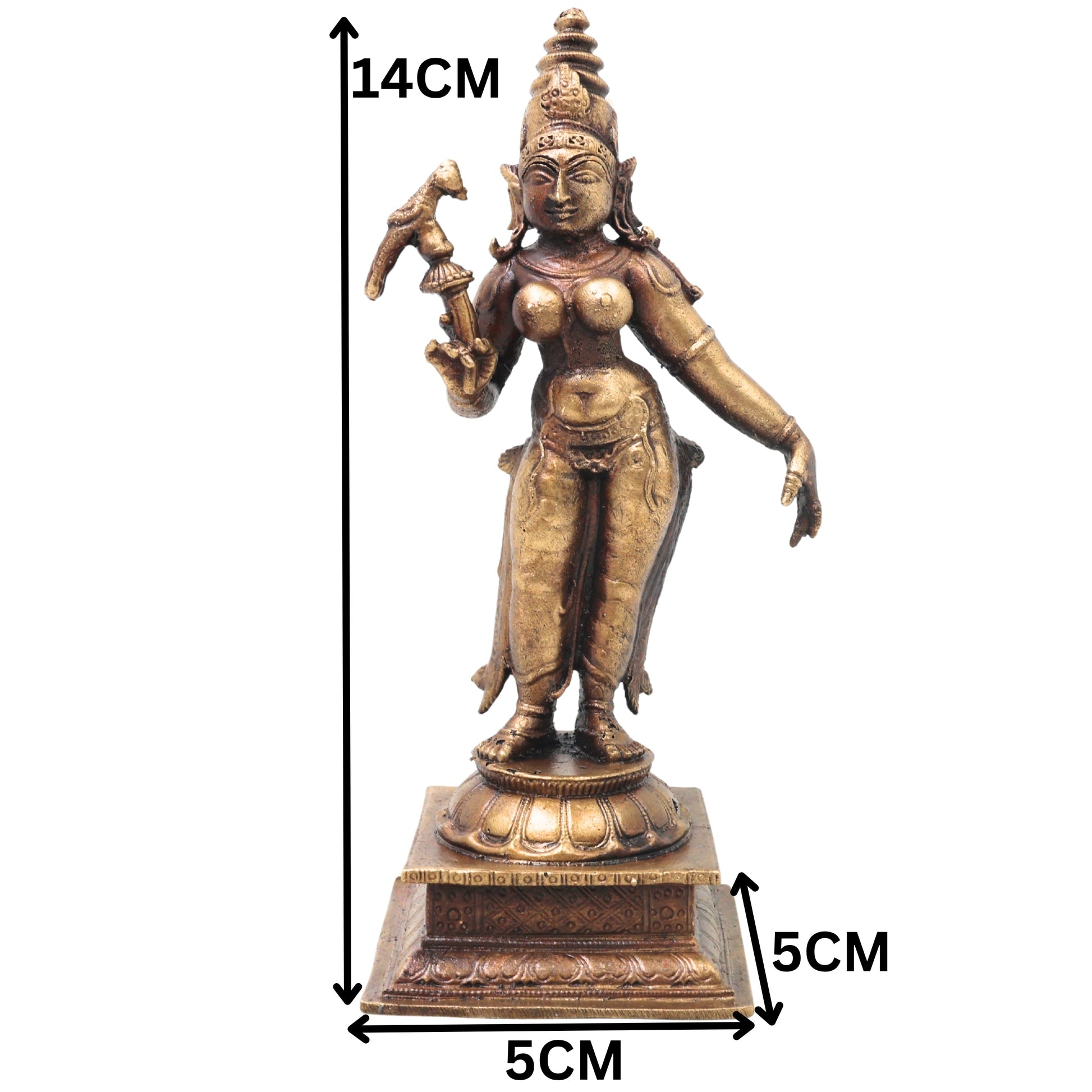 Brass Meenakshi Amman Idol Handcrafted Traditional Chola Style Murti for Pooja Home Decor & Spiritual Gifting, Gold, 5.5 Inch, 1 Piece