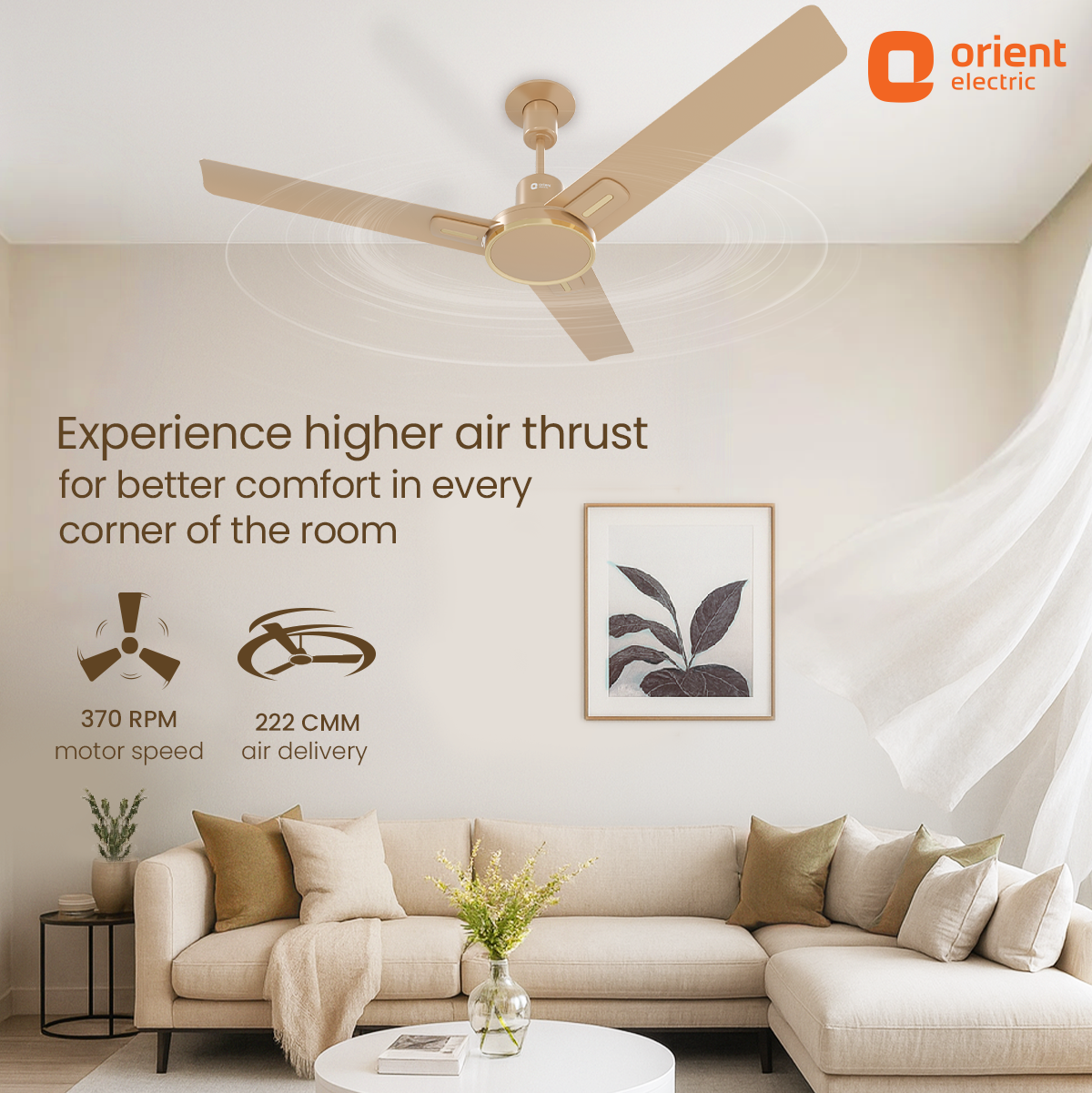 Luna High Speed Decorative Ceiling Fan | 2 Year Warranty