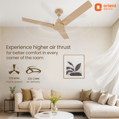 Luna High Speed Decorative Ceiling Fan | 2 Year Warranty
