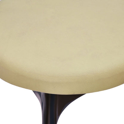 Nilkamal CHR4040 Armless Chair with Leatherette Cushion