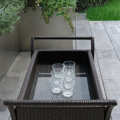 Avis Outdoor Patio Bar Serving Cart (Dark Brown)