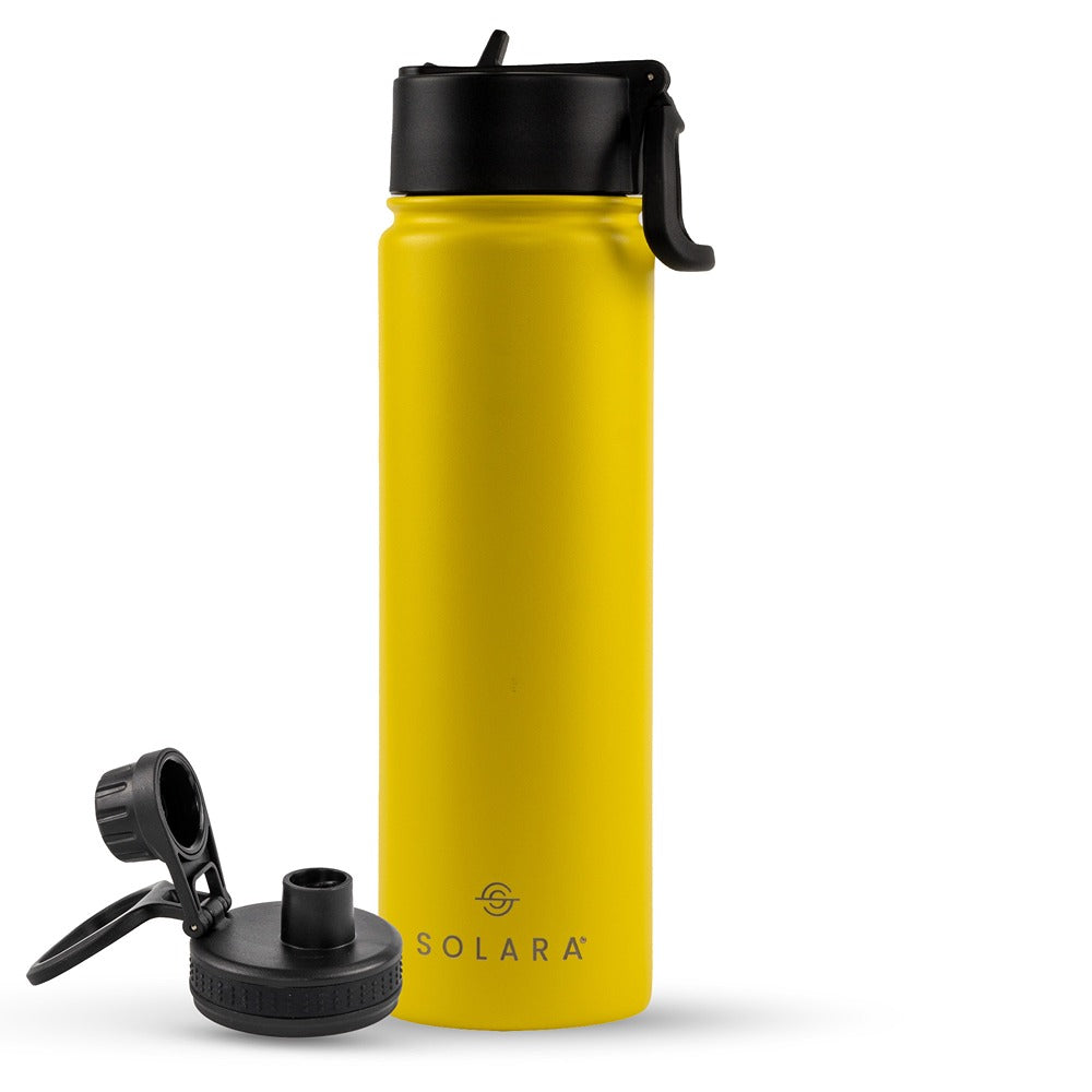 Insulated Water Bottle 650 ML