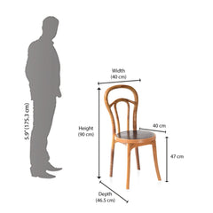 Nilkamal CHR4040 Plastic Armless Chair (Weather Brown)