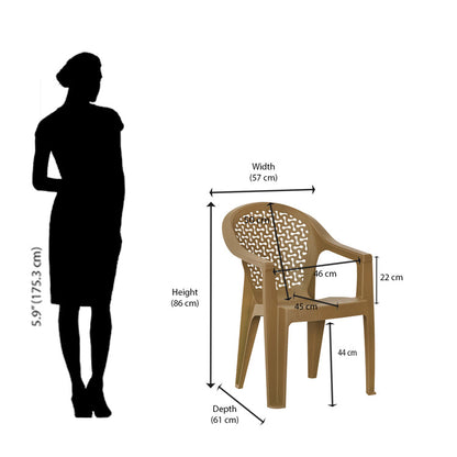 Nilkamal Comfy Plastic Arm Chair