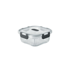 Borosilicate Clip Fresh Rib Square Container (Treo by Milton)