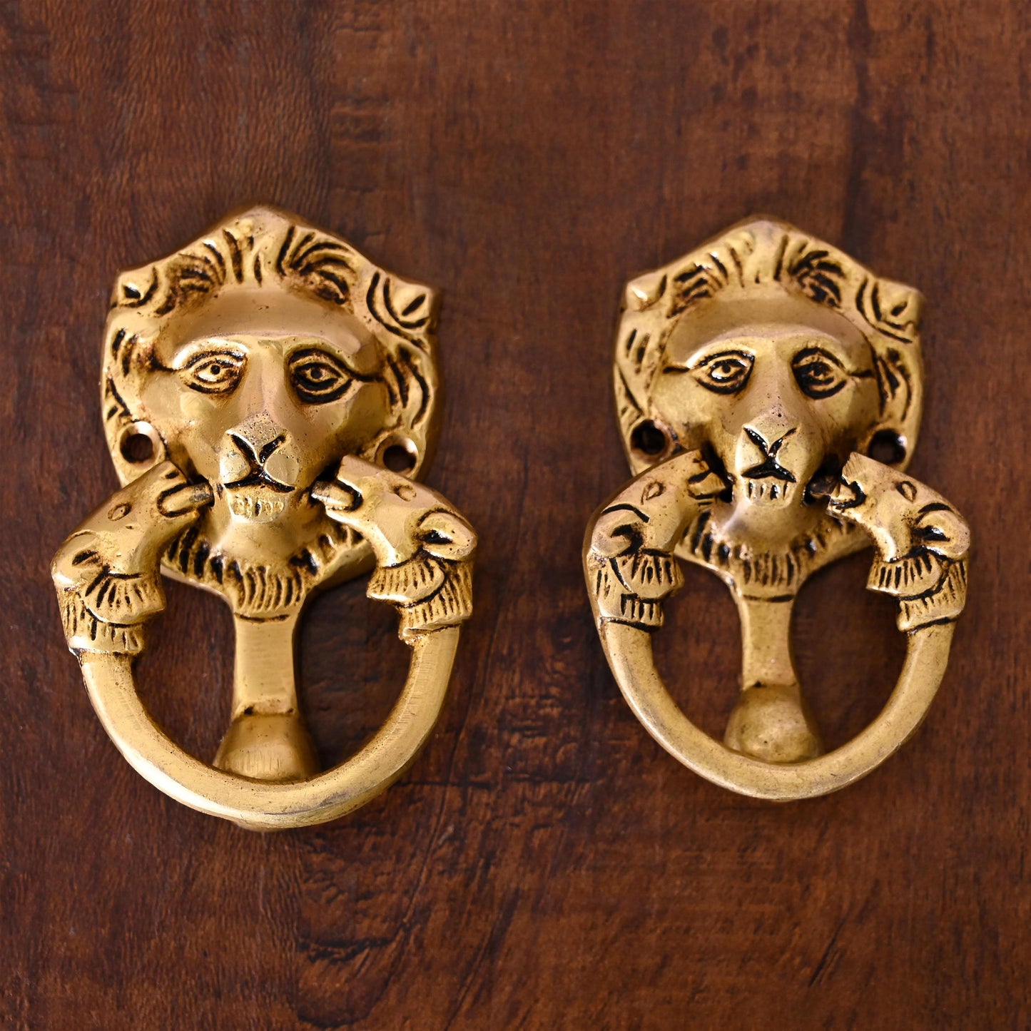 Brass Lion Face Drawer Pulls Pair (2 Inch)