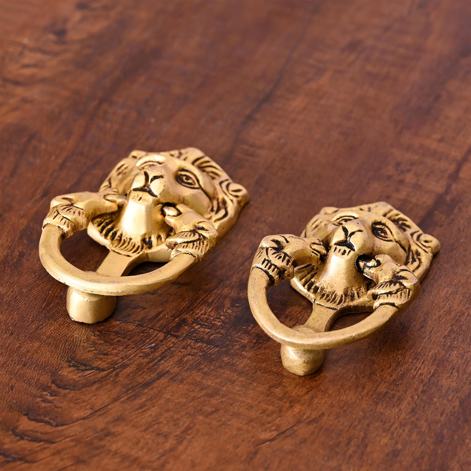 Brass Lion Face Drawer Pulls Pair (2 Inch)