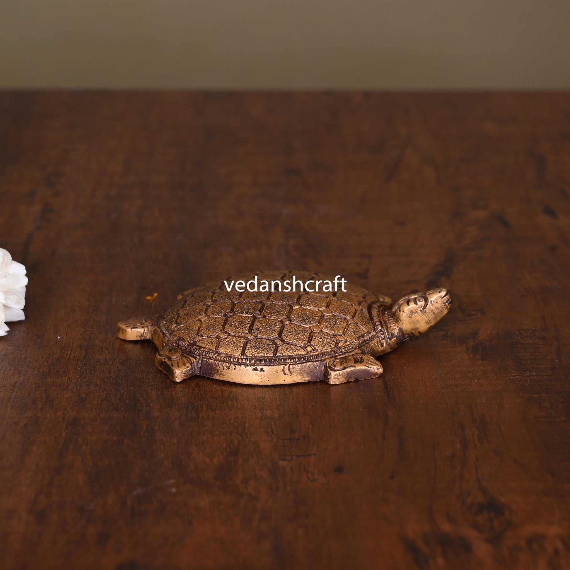 Brass Tortoise Vastu/Feng Shui (0.5 Inch)