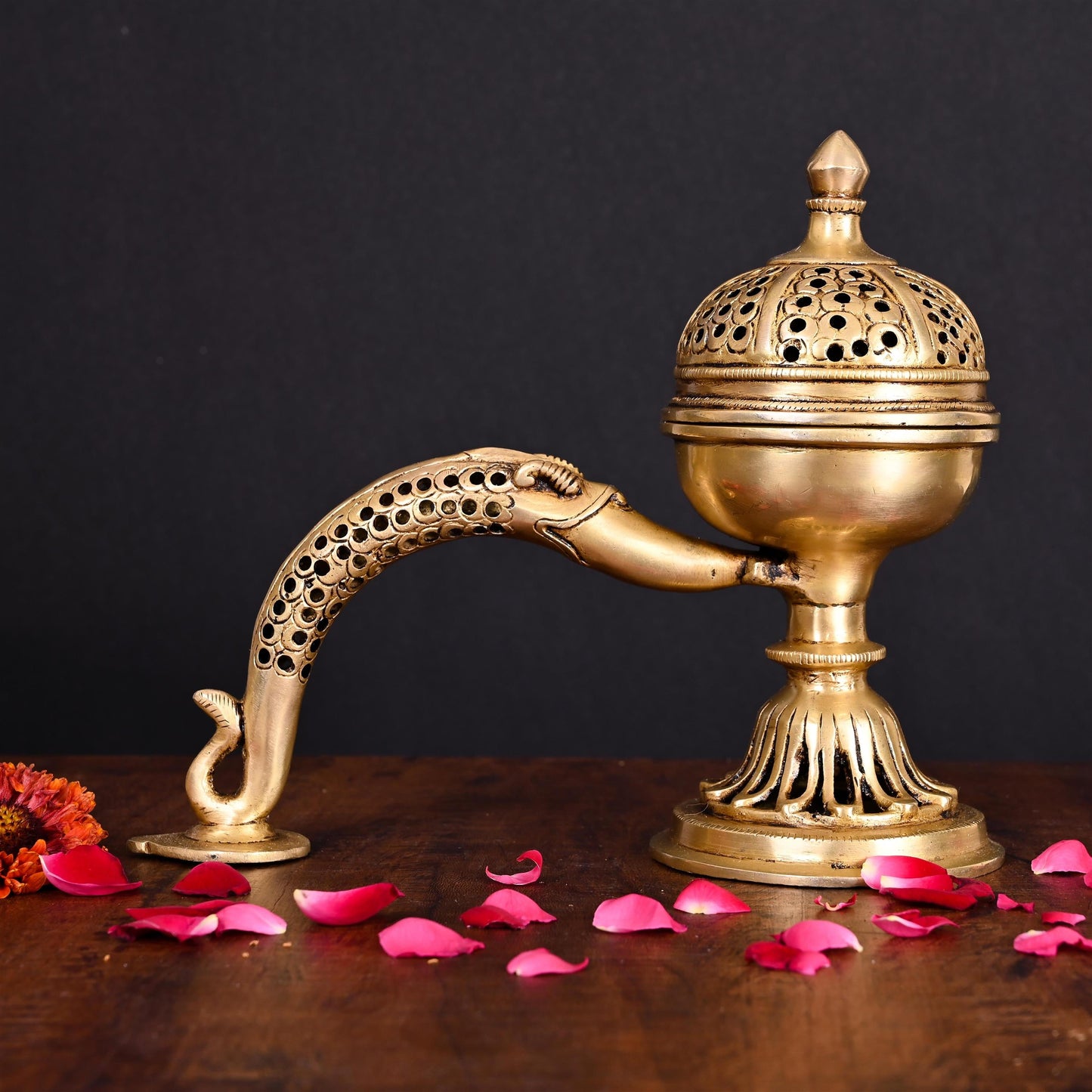Brass Dhoop Dani & Incense Holder With Handle (8 Inch)