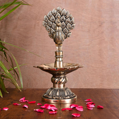 Brass Majestic Peacock Diya/Lamp (11 Inch)