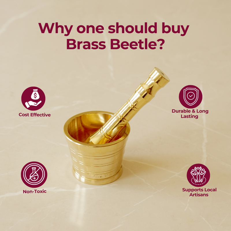 Brass Beetle [Khalbatta / Imam Dasta]