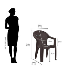 Nilkamal Exotica Plastic Arm Chair