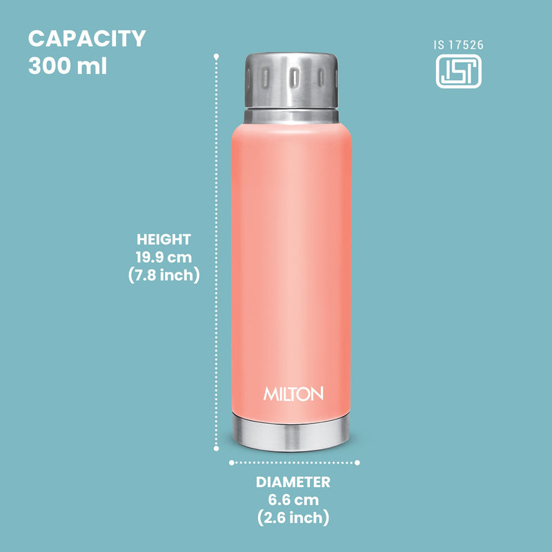 Elfin Thermosteel Bottle (Milton)