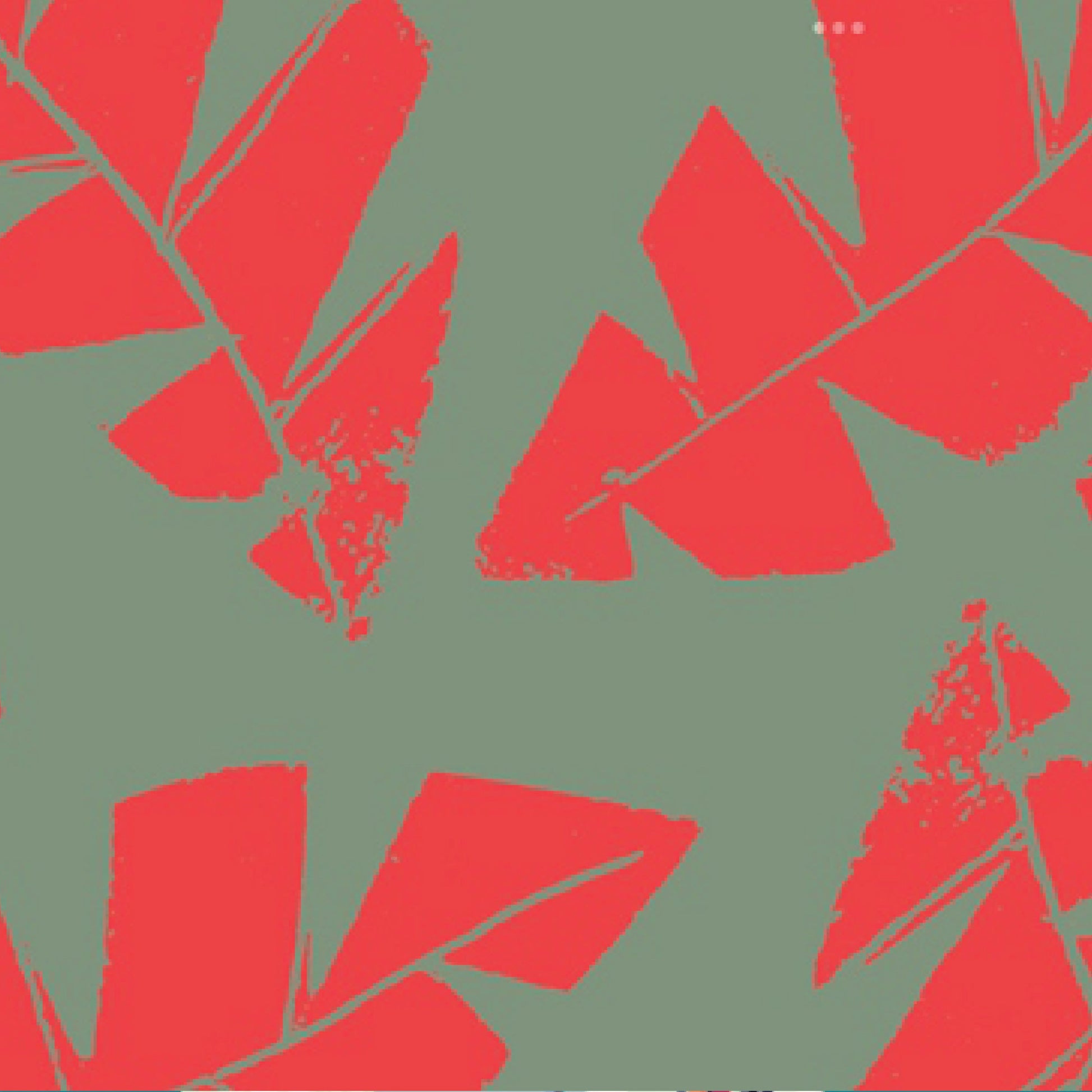 Outdoor Fabric Print Pillow 26