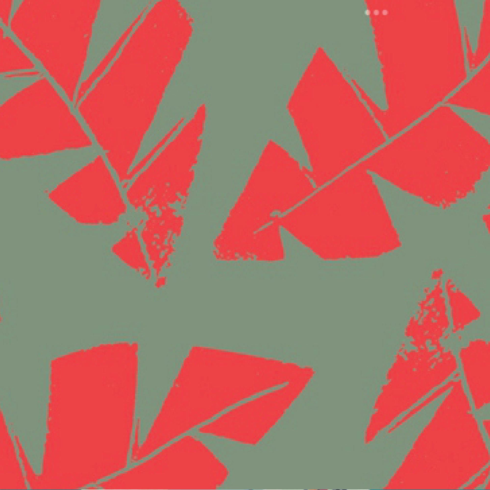 Outdoor Fabric Print Pillow 26