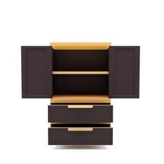 Nilkamal Freedom FMDR 2B Plastic Storage Cabinet with 2 Drawer (Weathered Brown / Biscuit)
