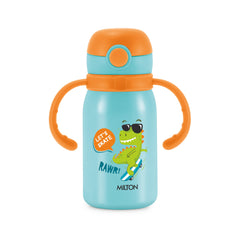 Fountain Stainless Steel Bottle (Milton)