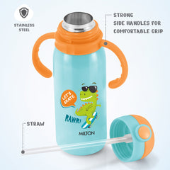 Fountain Stainless Steel Bottle (Milton)