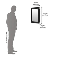 Nilkamal Gem Plastic Cabinet with Mirror (Black)