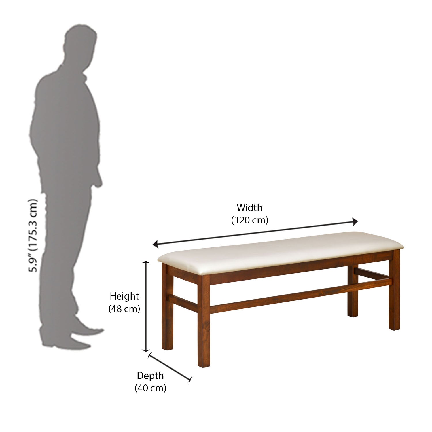 Nilkamal Gem Multi Use Long Sitting Bench for Living Room | Dining Room (Cappuccino)
