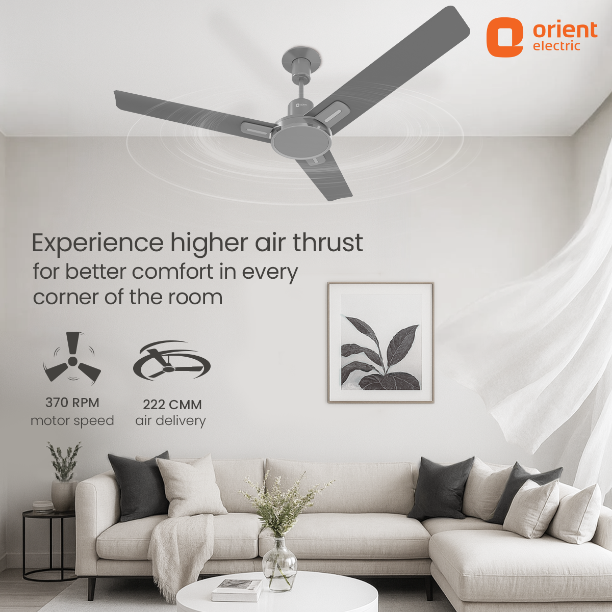Luna High Speed Decorative Ceiling Fan | 2 Year Warranty