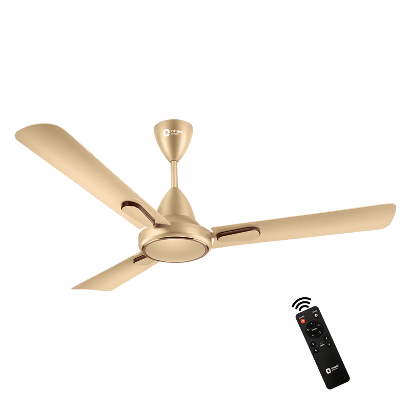 Hector Deco BLDC Ceiling Fan with Remote