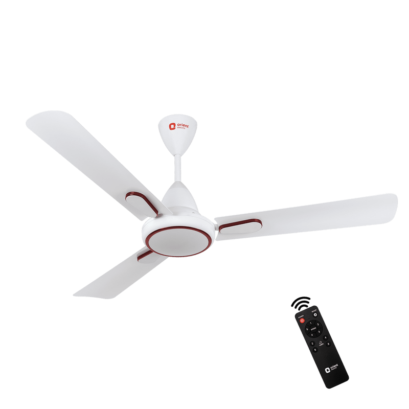 Hector Deco BLDC Ceiling Fan with Remote