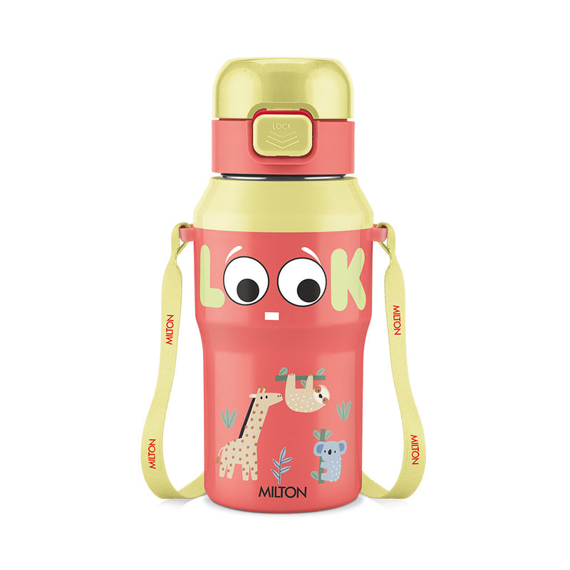Steel Helio Thermoware Bottle (Milton)