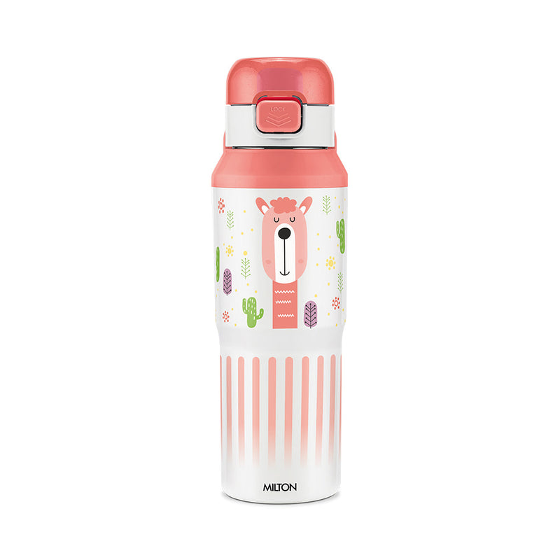 Steel Helio Thermoware Bottle (Milton)