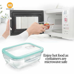 Hi Borosilicate Clip Fresh Rectangular Container (Treo by Milton)