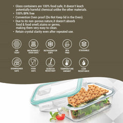 Hi Borosilicate Clip Fresh Rectangular Container (Treo by Milton)