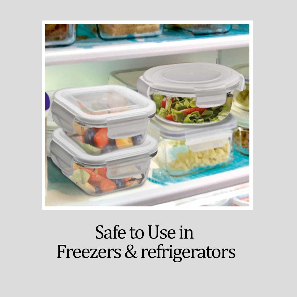 Hi Borosilicate Clip Fresh Rectangular Container (Treo by Milton)