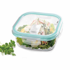 Square Glass Tiffin Lid (Treo by Milton)