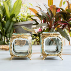 Multipupose Decorative Box with Glass and Brass with Velvet Gift Box