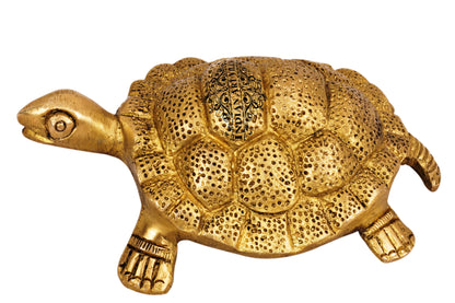 Brass Vastu Tortoise Turtle