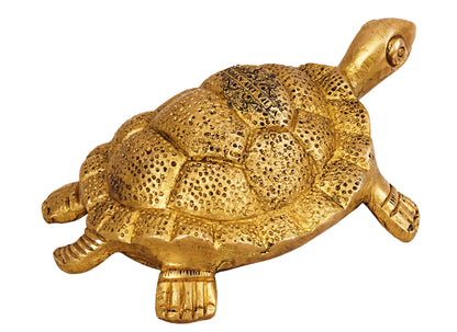 Brass Vastu Tortoise Turtle