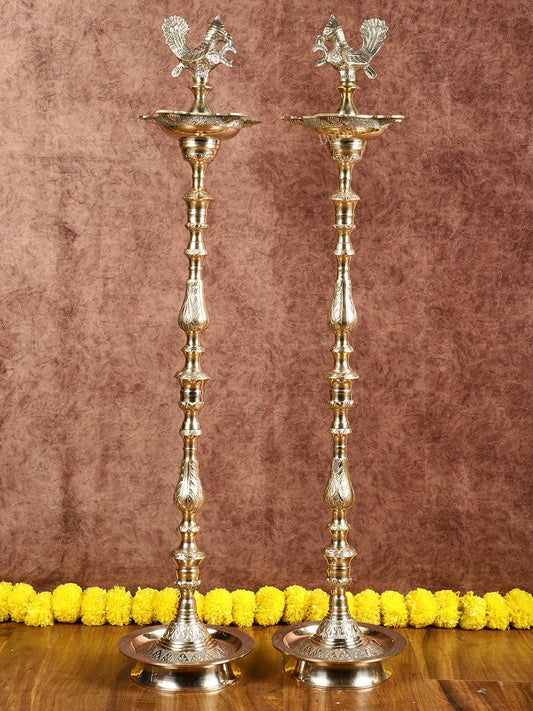 Brass Samai Peacock Inauguration Lamps 3 feet