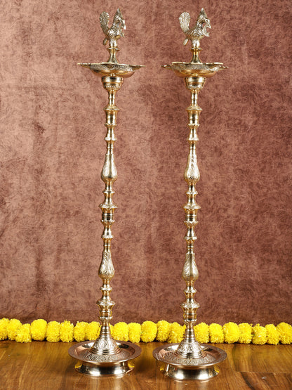 Brass Samai Peacock Inauguration Lamps 3 feet