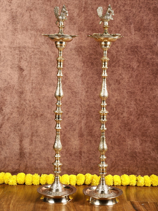 Brass Samai Peacock Inauguration Lamps 3 feet