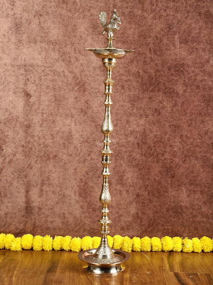 Brass Samai Peacock Inauguration Lamps 3 feet