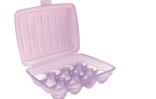 Smart Egg Tray-1