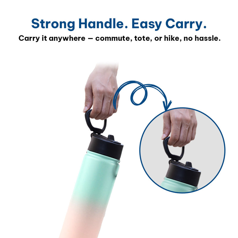 Insulated Water Bottle
