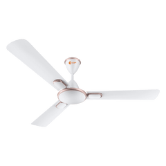 Blanco Decorative Ceiling Fan | 2-Year Warranty