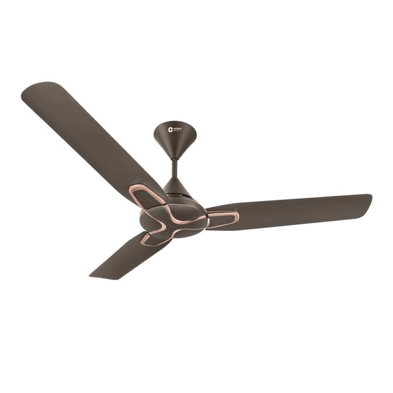 Jazz Anti Dust Decorative Ceiling Fan