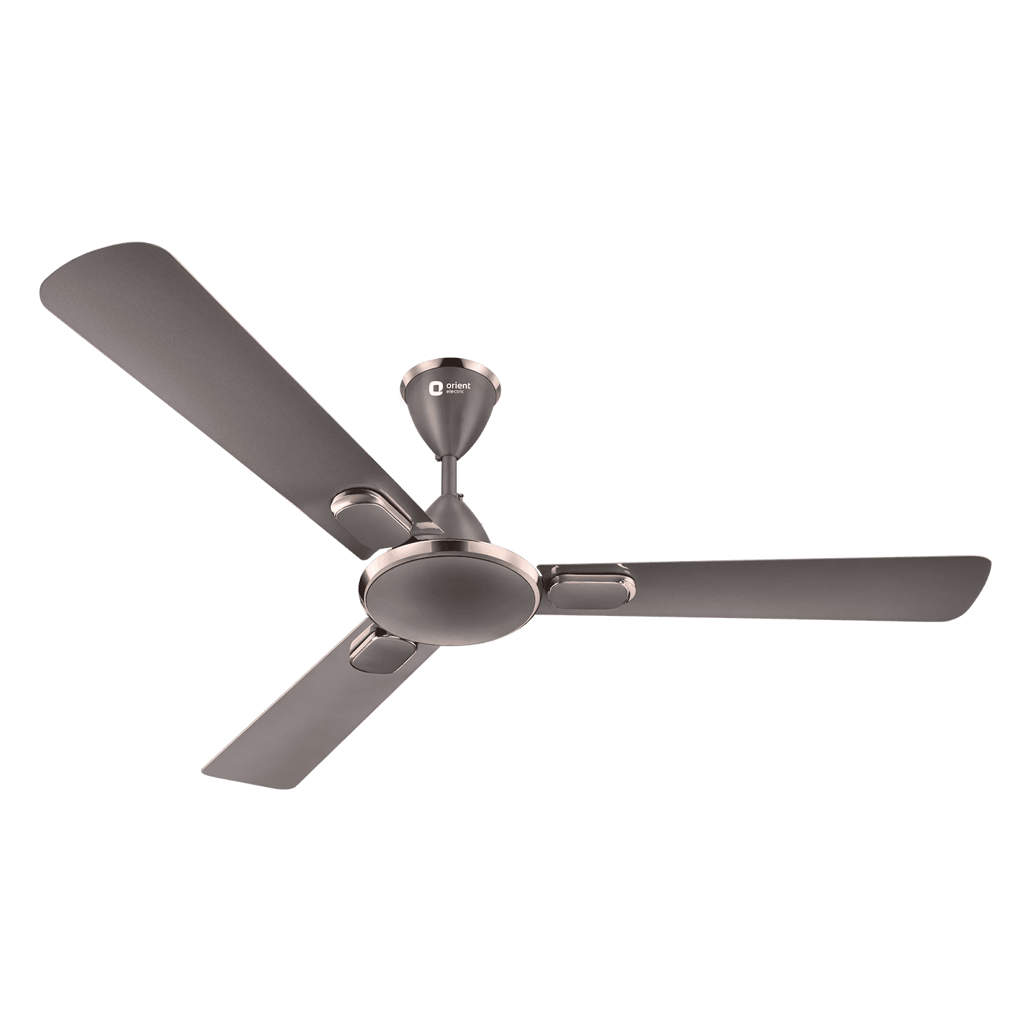 Blanco Decorative Ceiling Fan | 2-Year Warranty